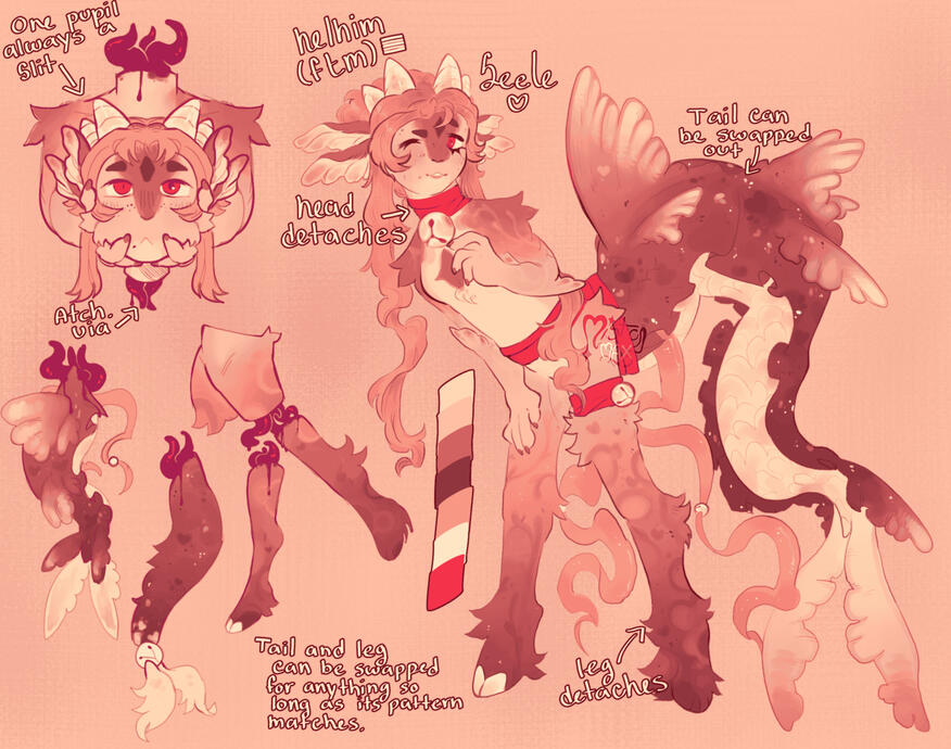 Front Back Ref Image + Design